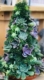 DIY 14 Inch Succulent Christmas Tree Workshop